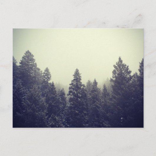 Titel III Briefkaart (Voorkant)