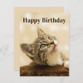 Titel Kaartje van Kittens Bewerken Feestdagenkaart (Voorkant / Achterkant)