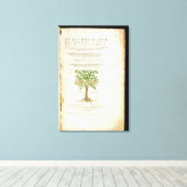 Titel pagina van 'De Historia Stirpium Commentarii Canvas Afdruk (Insitu (Houten vloer))