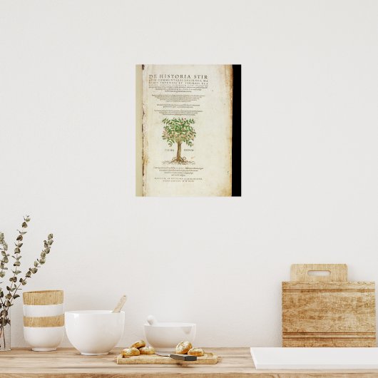 Titel pagina van 'De Historia Stirpium Commentarii Poster (Keuken)