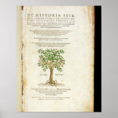 Titel pagina van 'De Historia Stirpium Commentarii Poster (Voorkant)
