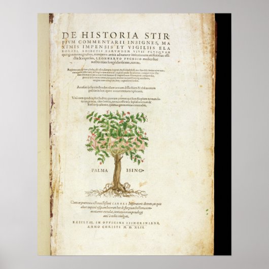 Titel pagina van 'De Historia Stirpium Commentarii Poster (Voorkant)