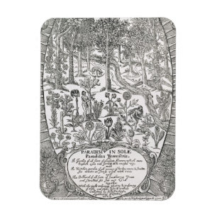 Titel pagina van 'Paradisi Sole'; Paradisus Terres Magneet