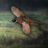 TITEL : " PHESANT OP ZOEK NAAR PROOI : POSTER