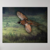 TITEL : " PHESANT OP ZOEK NAAR PROOI : POSTER (Voorkant)