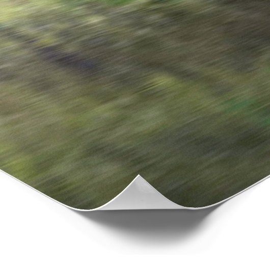 TITEL : " PHESANT OP ZOEK NAAR PROOI : POSTER (Hoek)