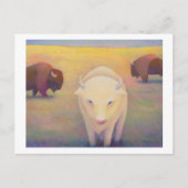 Titel: Soms - witte buffel Briefkaart (Voorkant)