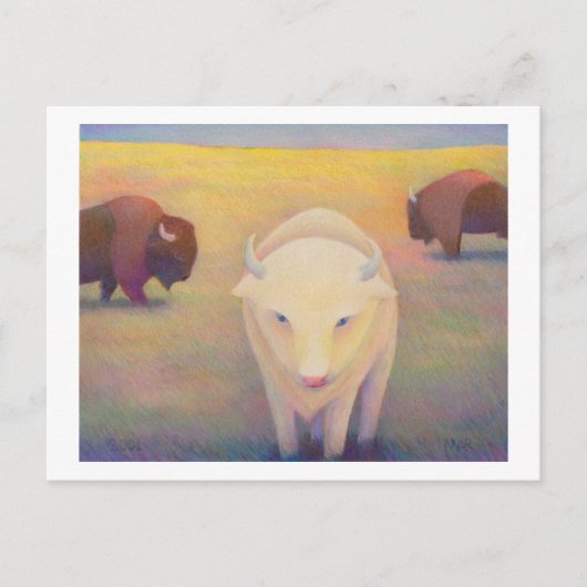 Titel:  Soms - witte buffel Briefkaart (Voorkant)