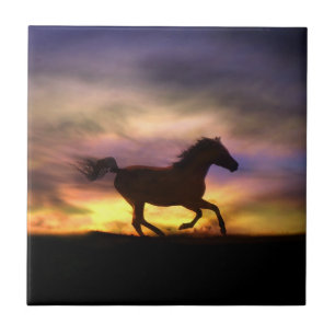 Titel van paardenkunst tegeltje