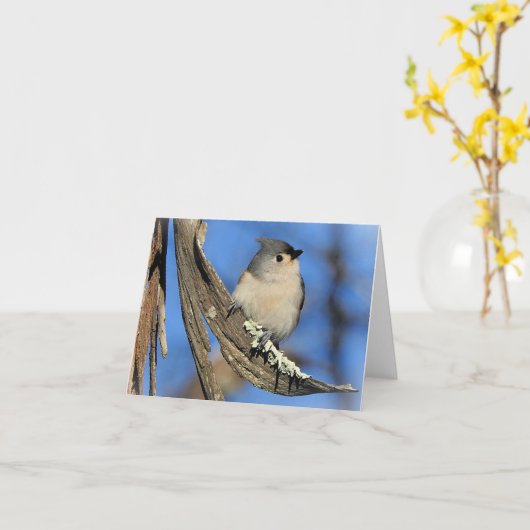 Titelblanco binnenin kaart (Gele Bloem)