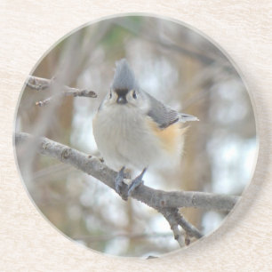 Titelmuis (Baeolophus bicolor) Zandsteen Onderzetter
