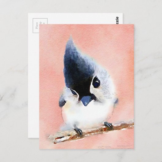 Titelmuis Briefkaart (Voorkant / Achterkant)