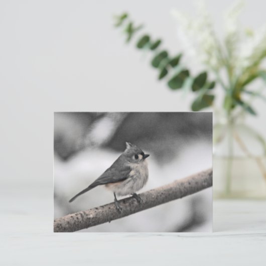 Titelmuis Briefkaart (Staand voorkant)