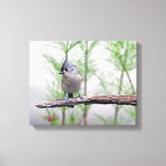 Titelmuis Canvas Afdruk (Voorkant)