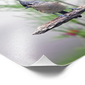 Titelmuis Foto Afdruk (Hoek)