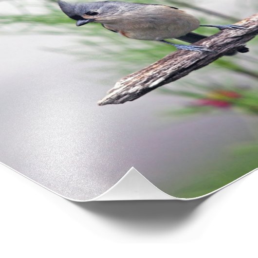 Titelmuis Foto Afdruk (Hoek)