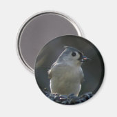 Titelmuis Magneet (Voorkant / Achterkant)