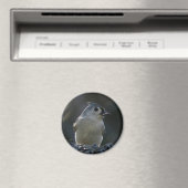 Titelmuis Magneet (Insitu (Vaatwasser))