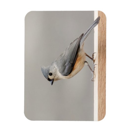 Titelmuis Magneet (Verticaal)