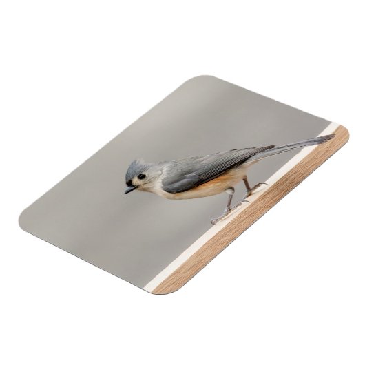 Titelmuis Magneet (Linkerzijde)