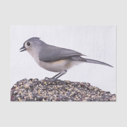 Titelmuis met buisje op papier voor vogelzaadweefs (Voorkant)