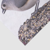 Titelmuis met buisje op papier voor vogelzaadweefs (Detail)