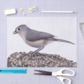 Titelmuis met buisje op papier voor vogelzaadweefs (Craft)