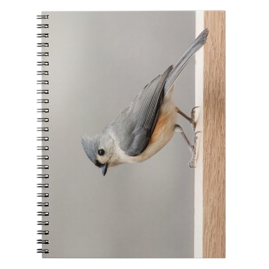 Titelmuis Notitieboek (Voorkant)