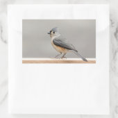 Titelmuis Rechthoekige Sticker (Tas)