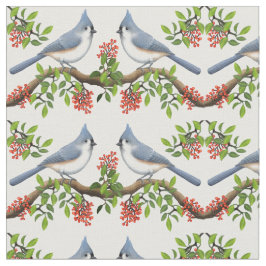 Titelvogeltjes met bedekte Titmouse met verbinding Stof