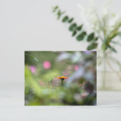 Tithonia in de tuin briefkaart (Staand voorkant)