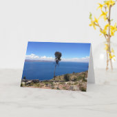 titicaca lone boom kaart (Gele Bloem)