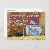 titicaca los uros briefkaart (Voorkant / Achterkant)