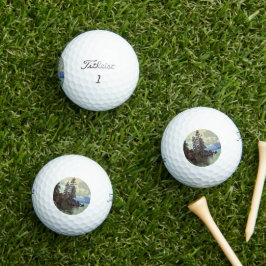 Titleist Pro V1 Golf Balls Golfballen