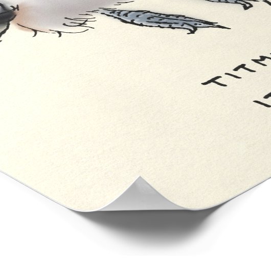 titmice trivia poster (Hoek)