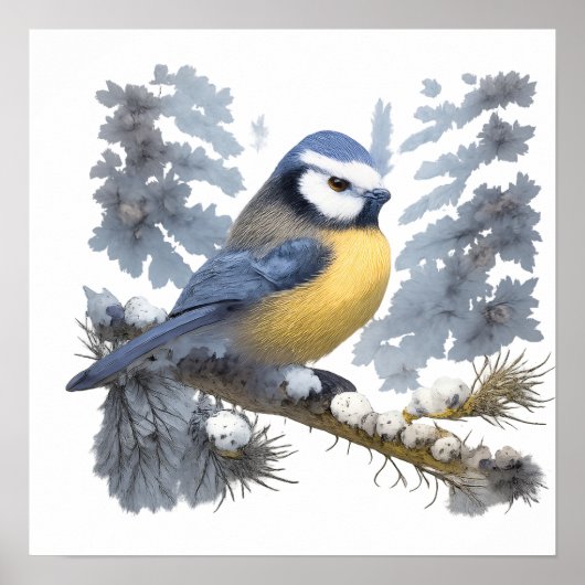 Titmouse bird poster (Voorkant)