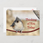 Titmouse Briefkaart leeg- elke gelegenheid aanpass (Voorkant / Achterkant)