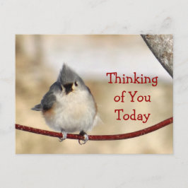 Titmouse Briefkaart leeg- elke gelegenheid aanpass