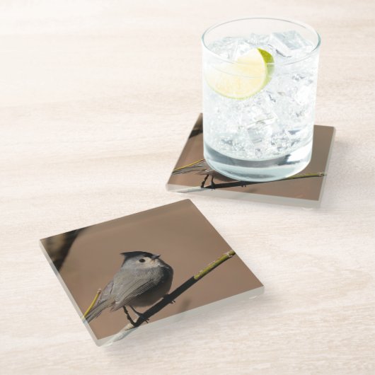 Titmouse_Coaster Glazen Onderzetter (Schuin)