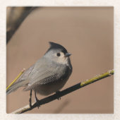 Titmouse_Coaster Glazen Onderzetter (Voorkant)