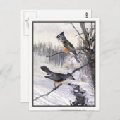 Titmouse - Robert Bruce Horsfall Briefkaart (Voorkant / Achterkant)