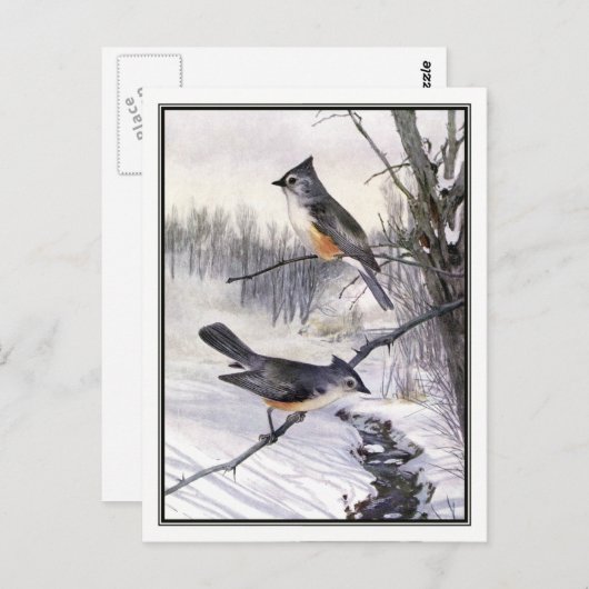 Titmouse - Robert Bruce Horsfall Briefkaart (Voorkant / Achterkant)