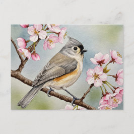 Titmouse, Sakura, Lente Briefkaart