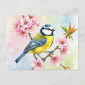 Titmouse, Sakura, Lente Briefkaart (Voorkant)