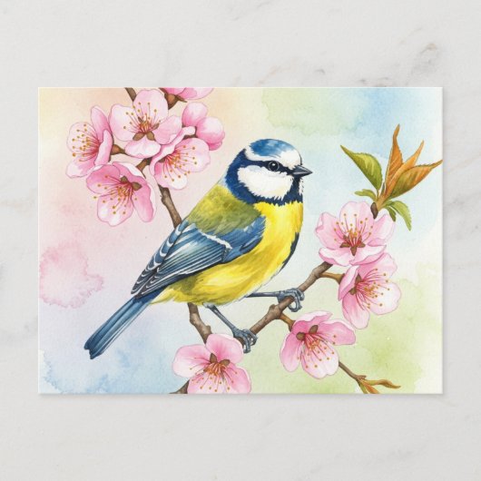 Titmouse, Sakura, Lente Briefkaart (Voorkant)