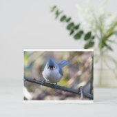 Titmuis Briefkaart (Staand voorkant)