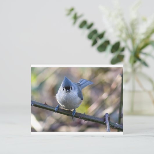 Titmuis Briefkaart (Staand voorkant)