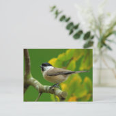 Titmuis in het najaar briefkaart (Staand voorkant)