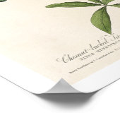 Titmuis met Poster Audubon (Hoek)