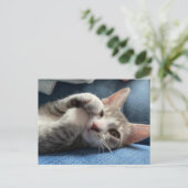 Tito Bandito De Leukste Kitten / Kat Briefkaart (Staand voorkant)